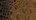 Brown 540 - King Crocodile Exotic Textured Embossed Leather for sale!