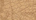 Exotic Embossed Leather For Sale!