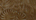 Exotic Embossed Leather For Sale!