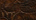 Exotic Embossed Leather For Sale!