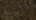 Exotic Embossed Leather For Sale!