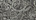 Exotic Embossed Leather For Sale!