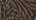 Black / Silver Western Tool Embossed Floral Leather