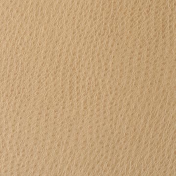 Ostrich Vinyl Fabric