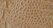 Microc 2 Butter Faux crocodile embossed vinyl fabric