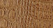 Microc 2 Toffee Faux crocodile embossed vinyl fabric