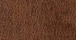 New Mexico Chestnut Faux Leather Fabric