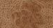 New Mexico Saddle Faux Leather Fabric