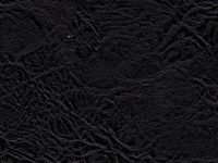 Asancion-Black-Equua-Vinyl-Fabric