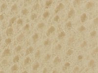 312-buff-Skintex Ostrich