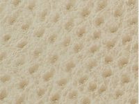 321-fawn-Skintex Ostrich