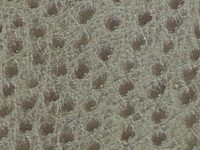 331-moss-Skintex Ostrich