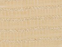 413-almond-alicante