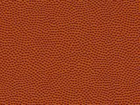 BASKETBALL-ORANGE