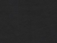 BLACK Contessa Contract