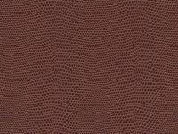 CABERNET Harmony Moxie