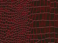 CABERNET NUVTEX RIO