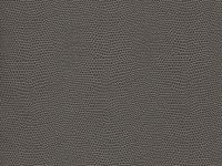 Charcoal Harmony Moxie