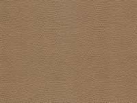 CORNSILK Harmony Moxie