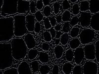 Caicos-Black-Equua-Vinyl-Fabric