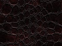 Dandi-Bronze-Equua-Vinyl-Fabric
