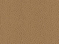 FIELD Skintex SF Centric
