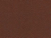 FOOTBALL-BROWN