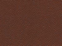 FOOTBALL-BROWN