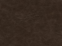 HARMONY TANGO_SUMATRA-Exoticleatherco