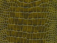MEADOW NUVTEX RIO