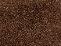 Metallic-Stingray-Leather-Copper