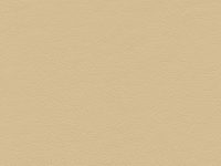 NICE BEIGE Contessa Contract