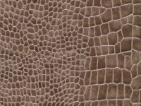 PEBBLE NUVTEX RIO