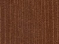 PUMPKIN SPICE-Skintex Swayed