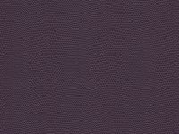 PURPLE Harmony Moxie