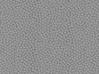SILVER Skintex SF Centric
