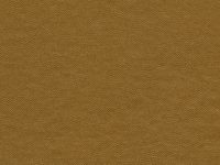 SKINTEX SF ELEMENT_RODEO