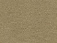 SKINTEX SF ELEMENT_TONIC
