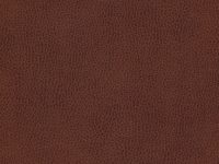 SKINTEX SF VINTAGE_GARNET