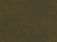 SKINTEX SF VINTAGE_MEADOW