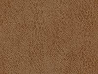 SKINTEX SF VINTAGE_TOBACCO