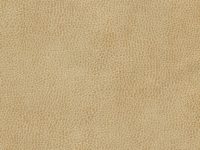 SKINTEX SF VINTAGE_VANILLA