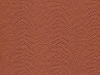 SPICE Harmony Moxie