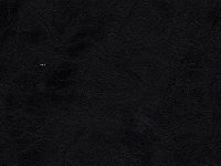 Tulican-Black-Equua-Vinyl-Fabric