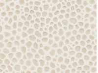 Vanilla-Skintex-SF-Rocks