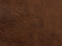 Yellowstone-Smooth-Leather-Cognac