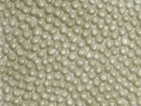 biscuit Nuvtex Beads