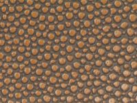 coffee Nuvtex Shagreen