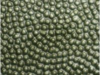 lime Nuvtex Beads