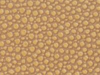 sand Nuvtex Shagreen